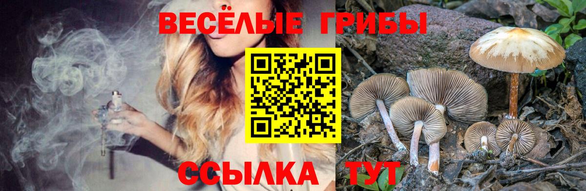 Галлюциногенные грибы мухоморы Ялуторовск