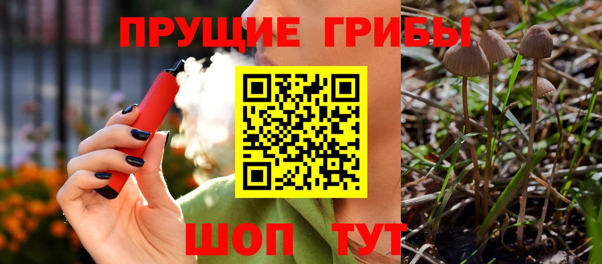 Псилоцибиновые грибы Psilocybe  Вход с VPN  Ялуторовск 